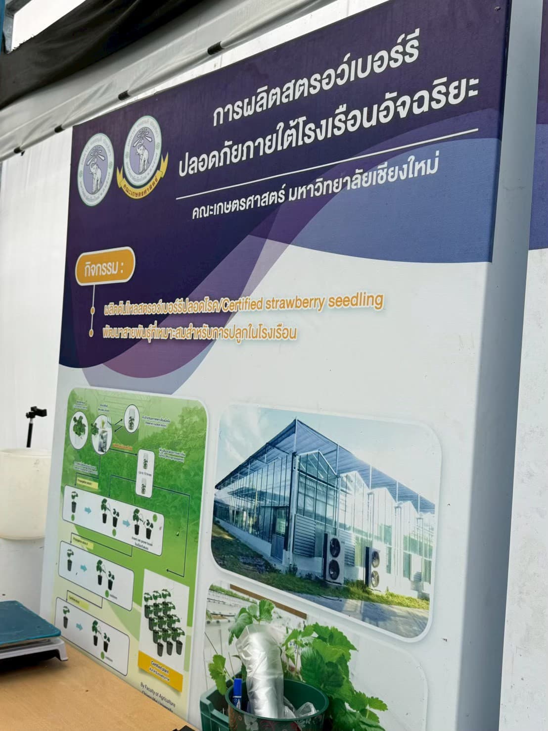 รูปที่ 1 จาก 6